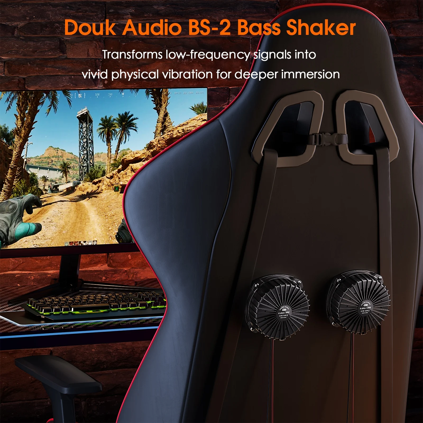 Douk Audio BS-2 30W 4Ω Bass Sh - Home Cinema Equipment avaliação e preço